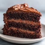 Close-up of a moist, two-layer slice of dark chocolate cake recipe covered in thick chocolate frosting.