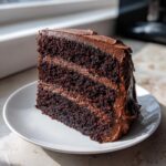 A generous slice of moist, dark chocolate cake with thick layers of chocolate frosting, sitting on a white plate.